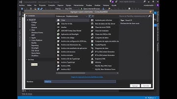 ASP.NET C# Consultas Sql Server