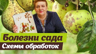 Болезни плодового сада. Методы борьбы