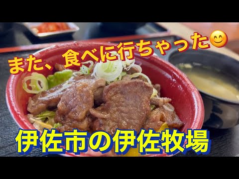 伊佐牧場　鹿児島県伊佐市　バーベキュー　ステーキ丼　肉直売　ソフトクリーム　洋菓子　チーズ