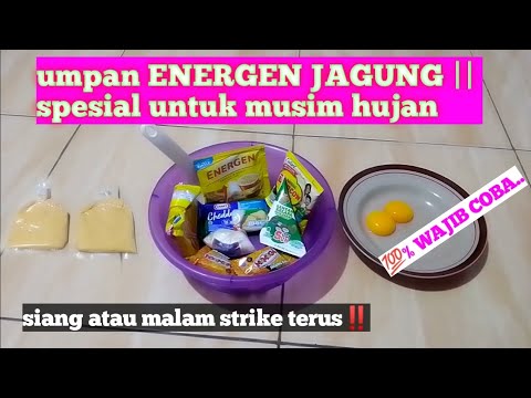 umpan ENERGEN JAGUNG || spesial untuk musim hujan #ikan #umpan #