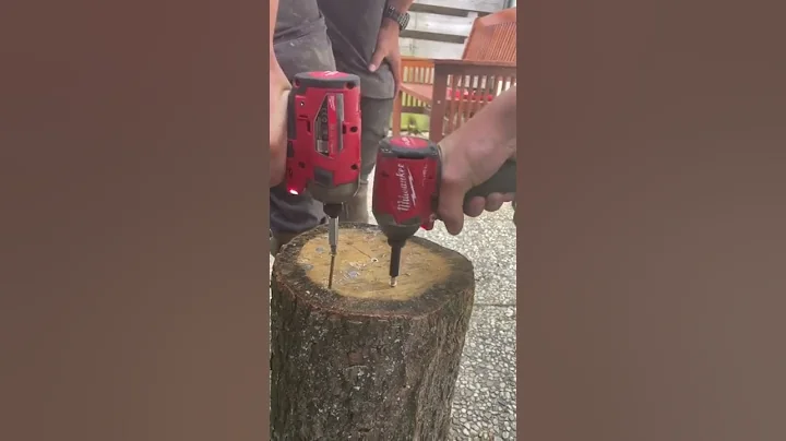 Milwaukee M12 VS Milwaukee M18