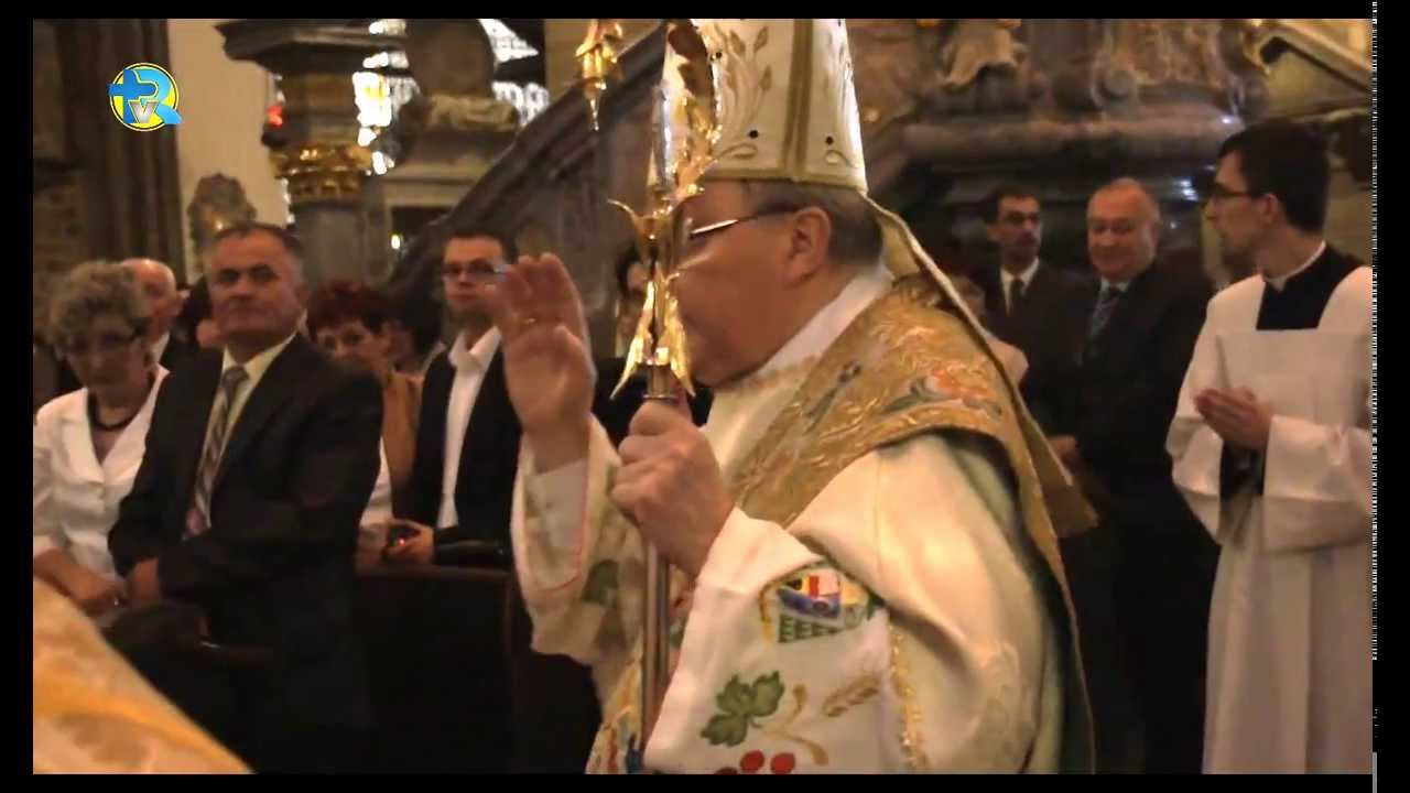 Święcenia prezbiteratu w katedrze wrocławskiej