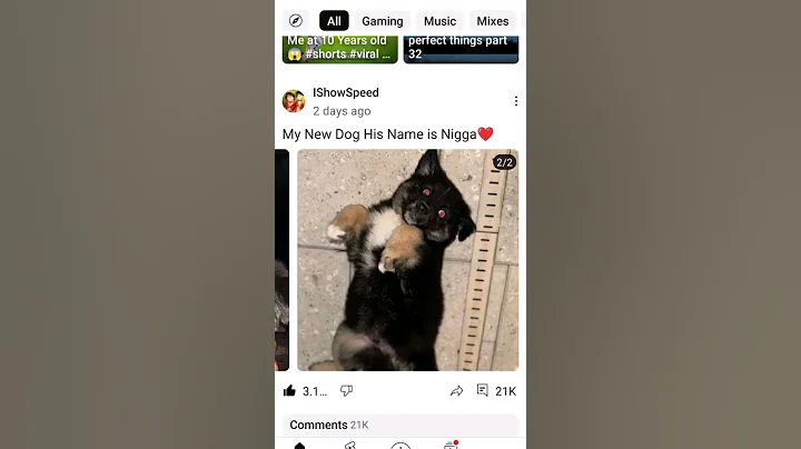 ishiwspeed best dog name it's cute😊#ishowspeed