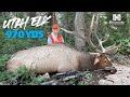 Utah elk hunt  970 yards shot