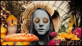 Andy Shauf - 'The Magician'
