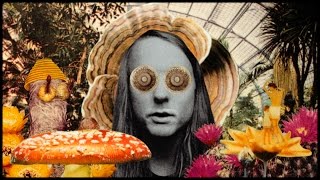 Vignette de la vidéo "Andy Shauf - "The Magician""