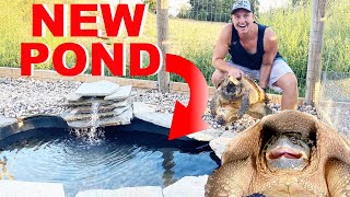 Building FOUR NEW Turtle Ponds For My Pet Snapping Turtles! DIY