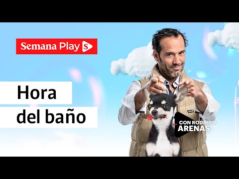 ¿Cómo calmar a un perro para el baño? | Rodrigo Arenas