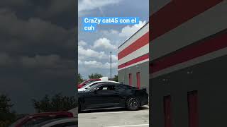 The auto zone has cuhs 😮‍💨#trokiando #autozone