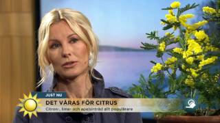 Så Lyckas Du Med Dina Citrusträd - Nyhetsmorgon Tv4
