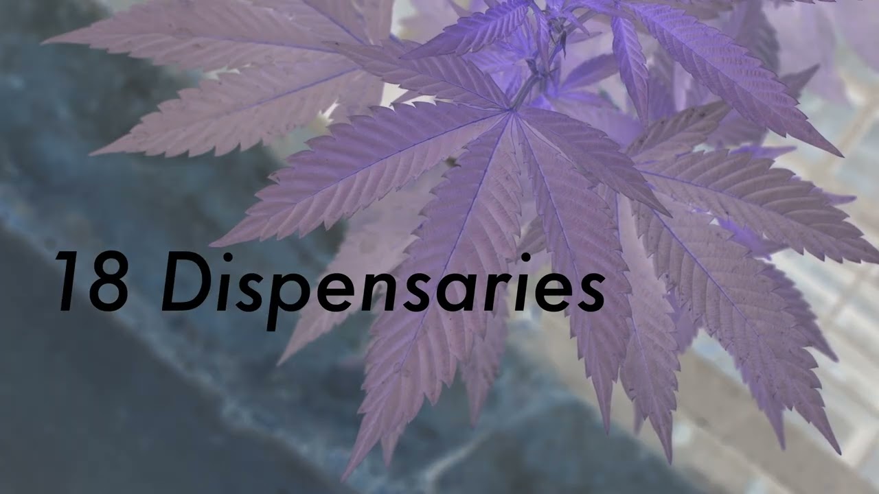 Cannabless For Sale! Locations May Be Sold Separately.