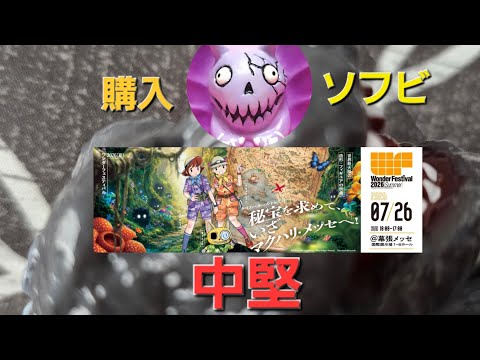 ワンフェス2026夏購入ソフビ紹介中堅編スタ～ト❗ - YouTube