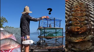 BEST CRAB POT TO BUY? GIANT MUDCRABS MANGROVE JACK AND FUN