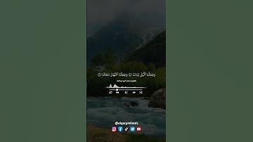 سورة النبأ بصوت القارئ محمد أبو عبدالله تلاوة رائعة جدا  #ترتيل #تجويد