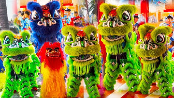 Múa Lân Khai Quang Điểm Nhãn Sư Rồng 2026 đoàn LSR Đế Thiên Phan Rang cúng tại chùa