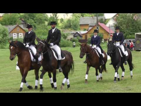 Video: Kā Iemācīt Zirgu Iejādē