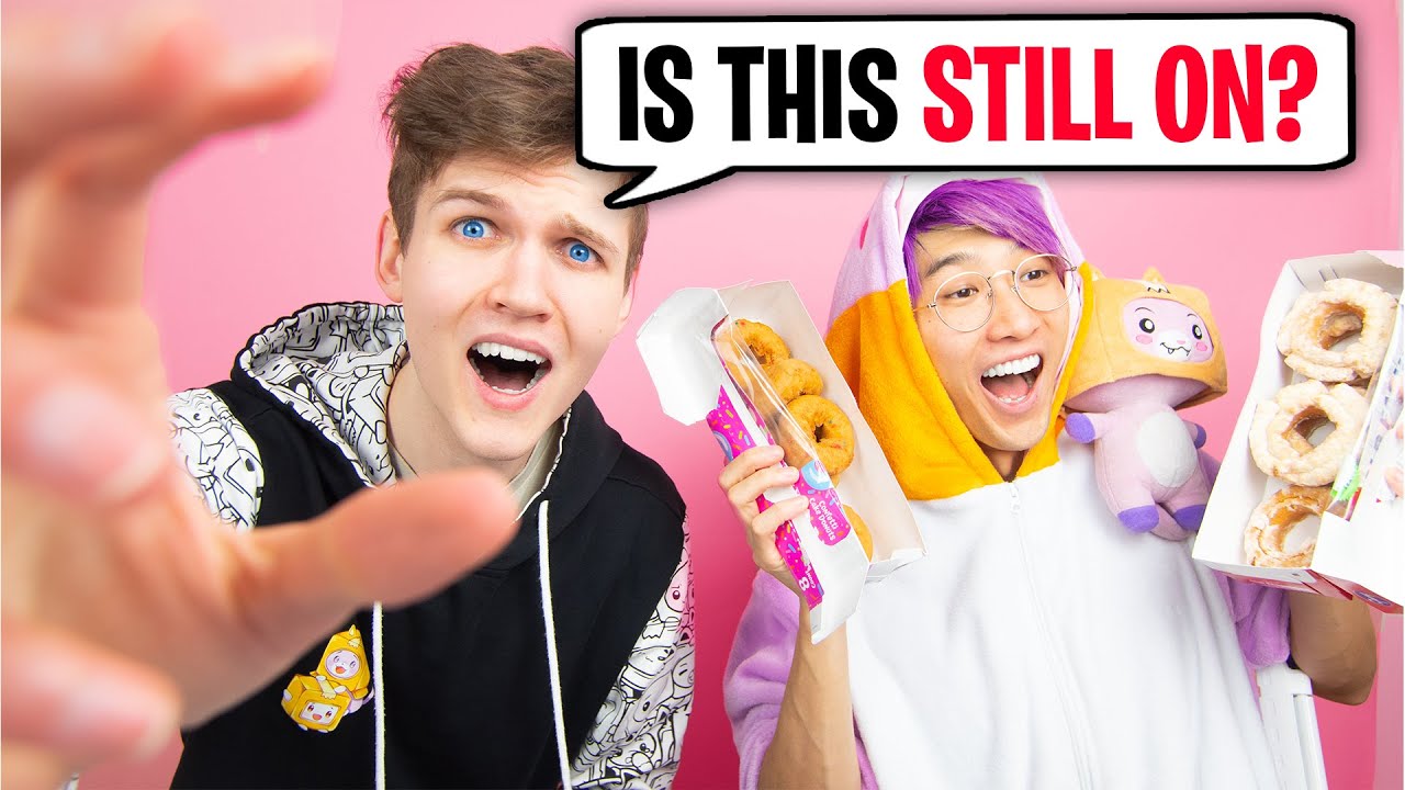 Lankybox Forgot To Stop Recording Shocking Truth Revealed Youtube 