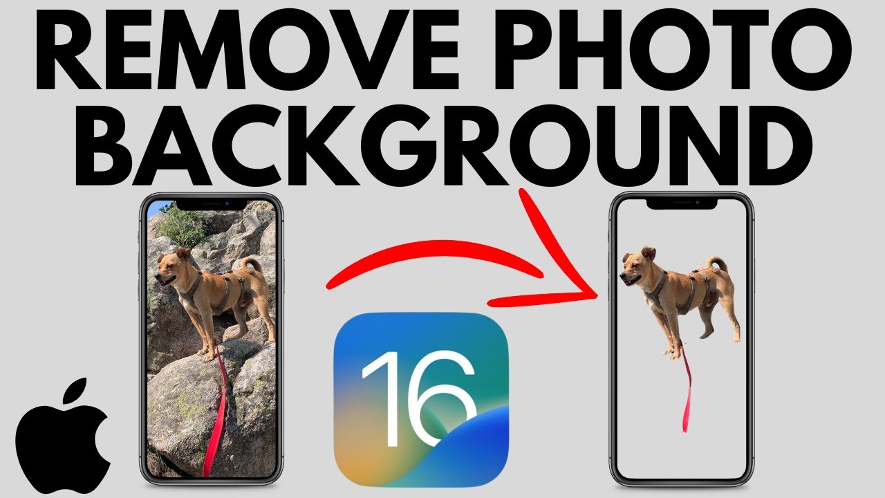 Xoá nền hình ảnh trên iPhone - iOS 16 là một tính năng tuyệt vời giúp bạn tạo ra những bức ảnh độc đáo chỉ với vài thao tác đơn giản. Dễ dàng loại bỏ những phần nền không cần thiết trong hình ảnh của bạn, để tập trung vào chủ đề chính và đem lại sự chuyên nghiệp và đẳng cấp cho những bức ảnh của bạn.
