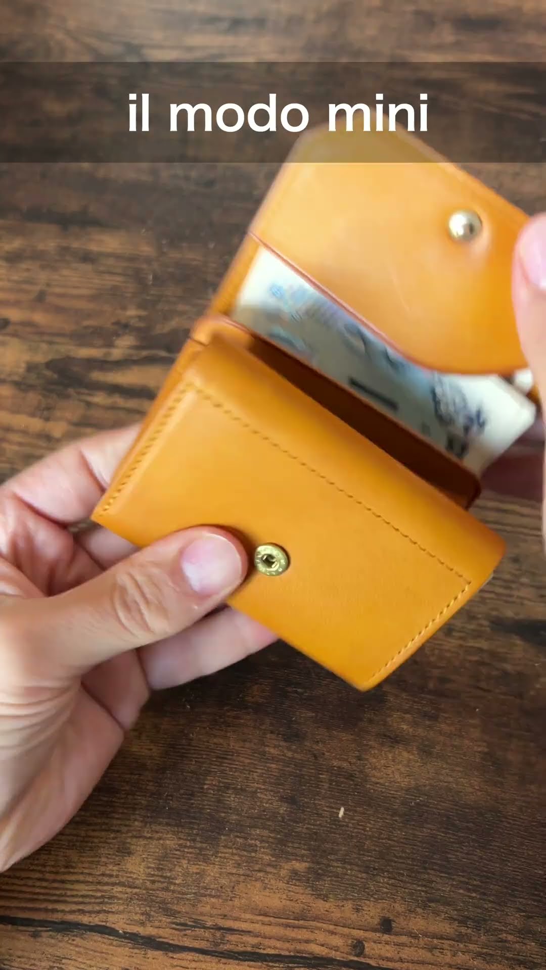 カードがたっぷり入るコンパクトな革財布/STATUSY(ステータシー)/il