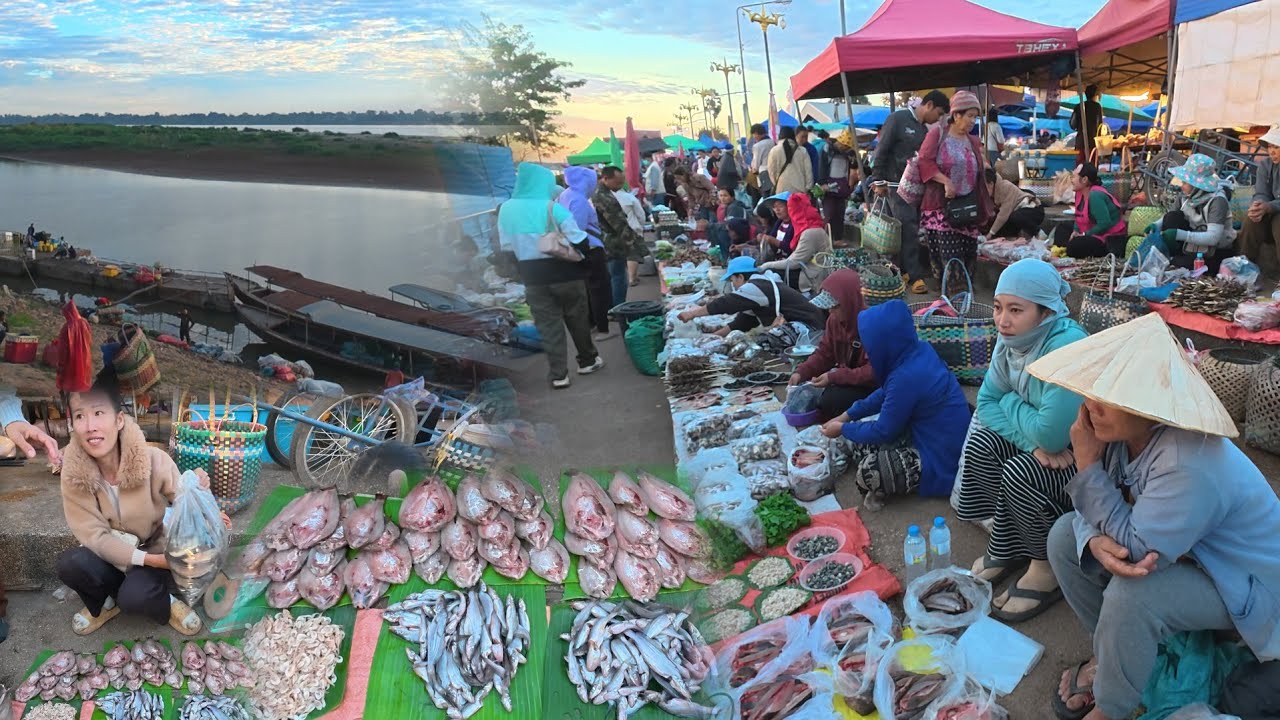 ตลาดนัดไทย-ลาว อ.ธาตุพนม จ.นครพนม สุดยอด‼️อาหารป่า อาหารตามฤดูกาล