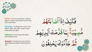Learn Tajweed of Surah An-Nisa Ayat 51-70 | تعلم التجويد - سورة النساء    | Tajweed Rules + Practice