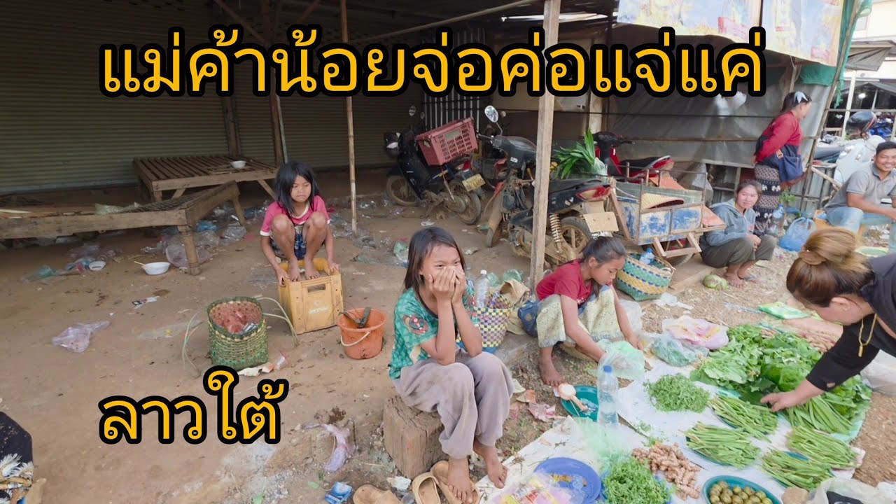 #เที่ยวลาวใต้ ปากเช-ปากชอง-อัตปือ #บรรยากาศการเดินทาง อากาศดีๆช่วงนี้ใกล้ปีใหม่ เก็บกาแฟรอลสุดท้าย 