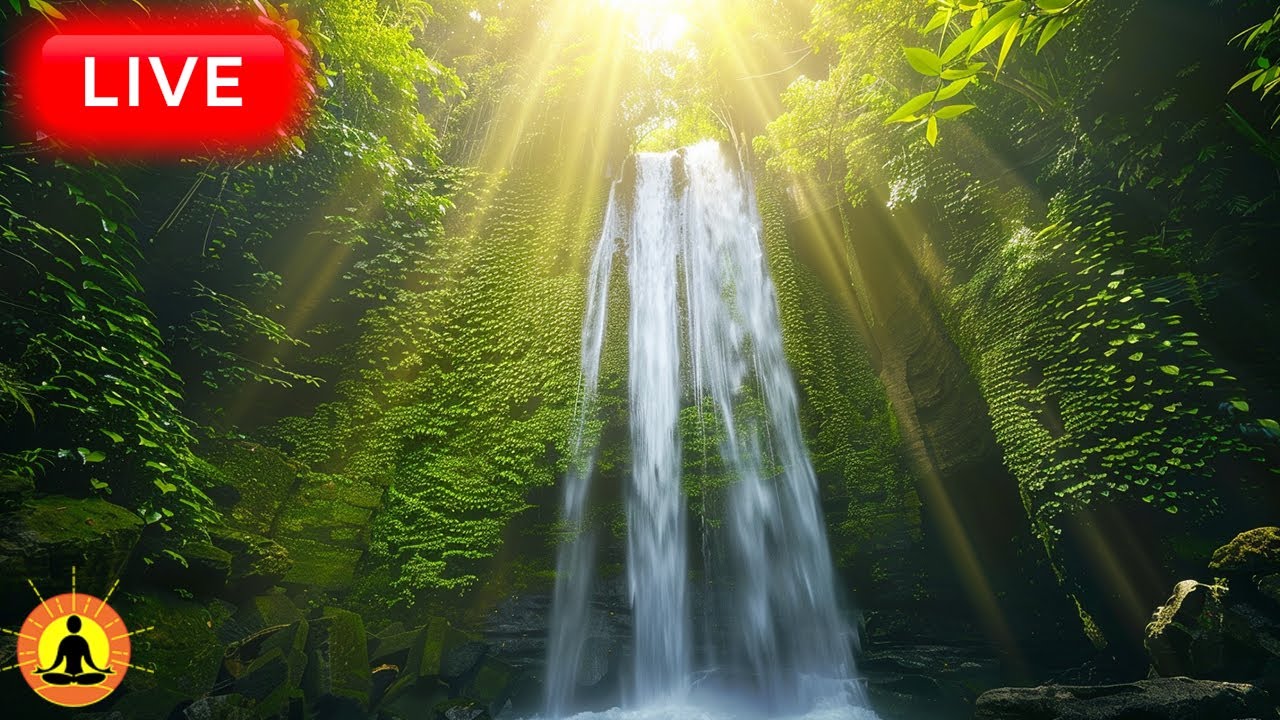 🔴 Relaxing Zen Music 24/7, Stress Relief Music, Sleep Music, Meditation Music, Study, River Sounds