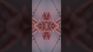 ٢٠ يناير ٢٠٢٤