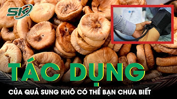 Tác Dụng Bất Ngờ Của Quả Sung Khô Có Thể Bạn Chưa Biết | SKĐS