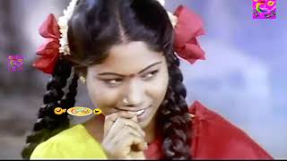 டேய் பரதேசி நாயே வீட்டுல திங்க சோறு இருக்க டா அப்புறம் என்ன டா Cricket Score! Goundamani Senthil