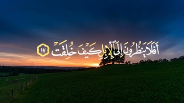 قران كريم| أفلا ينظرون إلى الإبل كيف خلقت القارئ خالد الجليل