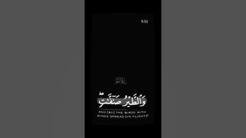 ألم تر أن الله يسبح له من في السماوات والأرض والطير صافات..📗 / #تلاوة - مختار الحاج / #shoes