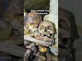 Mira lo qué encontramos en Las Catacumbas De Paris #exploration #restinpeace #nomap #unexplored