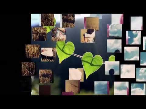 روحي وخداني اصالة