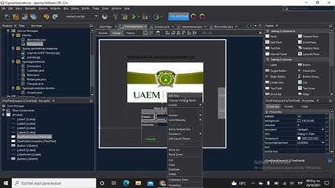 Interfaz y validación (swing)
