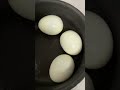 PCOD/PCOS weight loss journey! #trending #food #pcos #intermittentfasting #trendingshorts #foryou