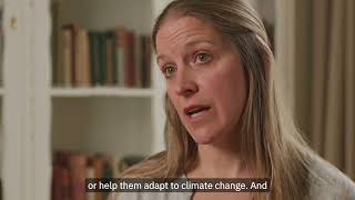 Infrastructures For Peace & Environmental Peacebuilding In Hirshabelle & Galmudug States, Somalia