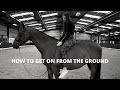 HOW TO: GET ON YOUR HORSE FROM THE GROUND || Erin Williams