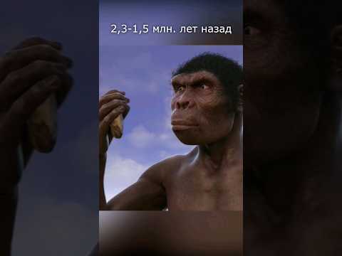 Что умел человек умелый? #ученые_против_мифов #эволюция