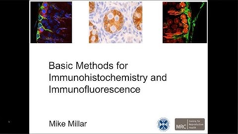 Basic Methods for Immunohistochemistry and Immunofurescence