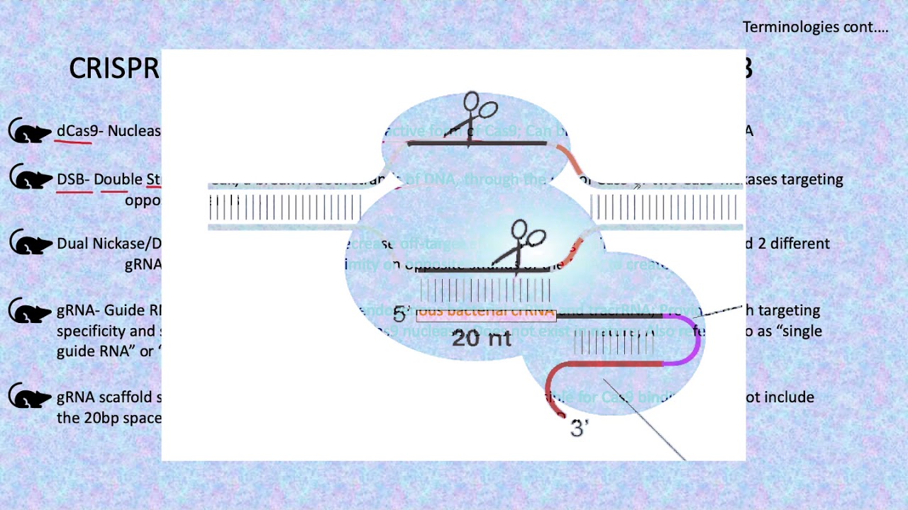 CRISPR Cas9 Gene Editing, Design Your Project Part 3 Basic ...