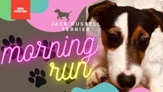 A Fun Day Out With Dad And Akio Jack Russell Terrier Nina Kristine