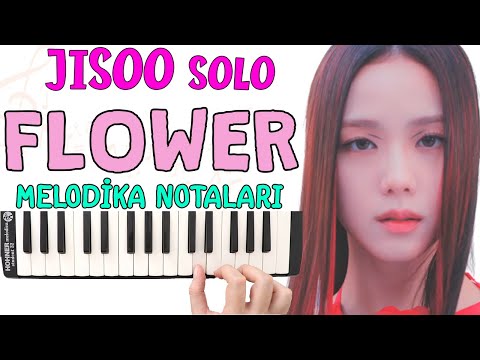 Jisoo Solo FLOWER Melodika Notaları - BLACKPINK