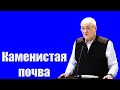 Проповедь &quot;Каменистая почва&quot; Антонюк Н.С.