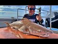 End Of Season Fishing In Malaysia