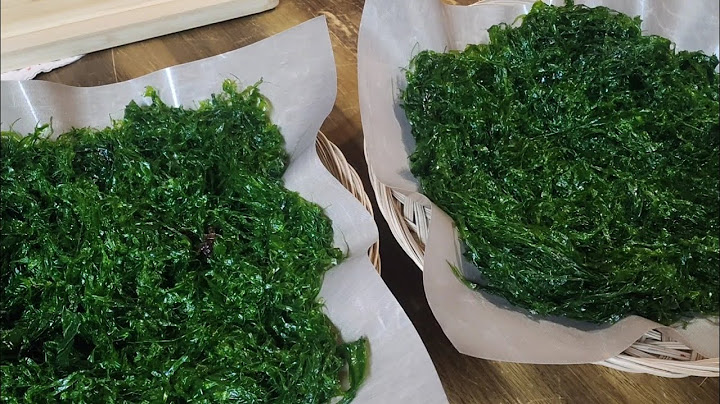 겨울물파래 많이 사오셔서 이렇게 드셔보세요!! 값싸고 영양많은 최고의 건강식입니다/ /파래또띠아/파래된장장아찌 Pickled green onions