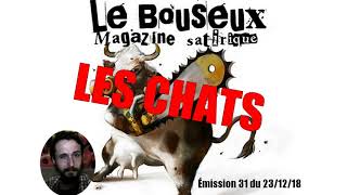 La vérité sur ces petits bâtards de chats - LBM 31