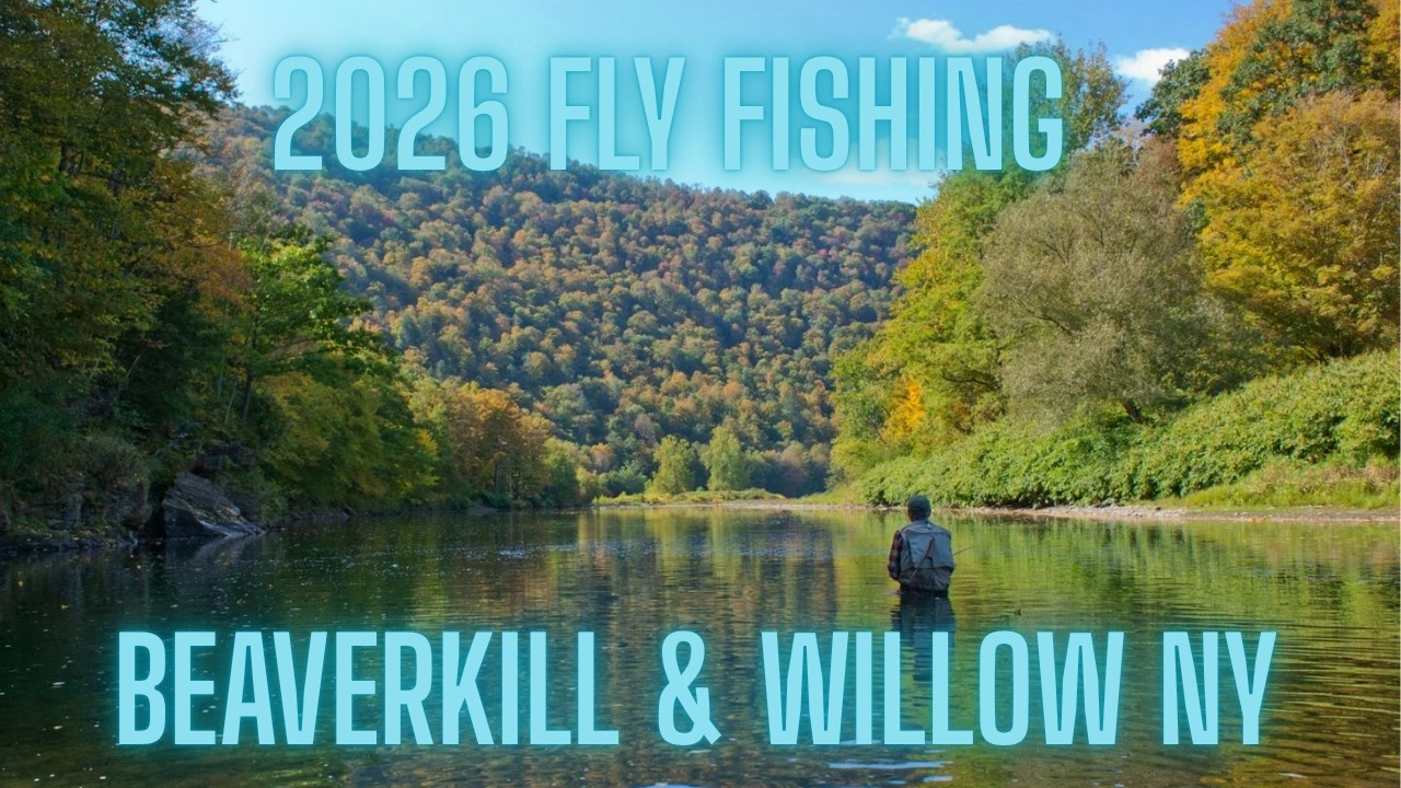 2026 Fly Fishing The Beaverkill & Willowemoc - YouTube
