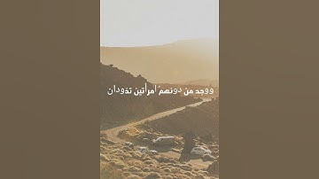 تلاوة من سورة القصص - علي صلاح عمر ❤️✨. #مصر #قرآن #السعودية