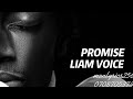 Promise - Liam voice (Official lyrics)